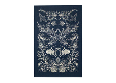 Coral Reef Ecosystem Poster