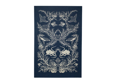 Coral Reef Ecosystem Poster