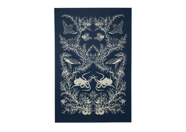 Coral Reef Ecosystem Poster