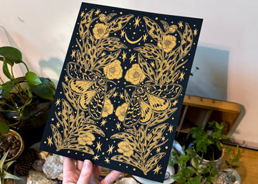 Midas Print No. 4 Moths