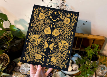 Midas Print No. 4 Moths