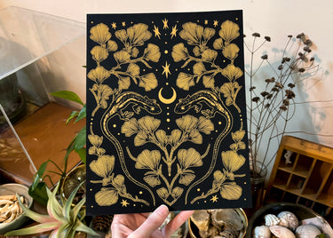 Midas Print No. 6 Salamander