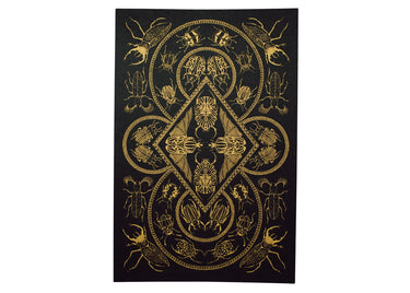 Beetles Curiosity Poster