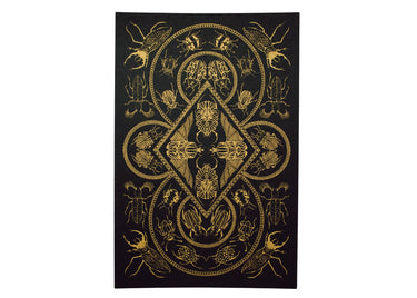 Beetles Curiosity Poster