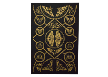 Moths Curiosity Poster