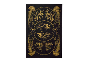 Sea Creatures Curiosity Poster