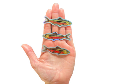 Little Fish Sticker Pack