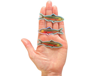 Little Fish Sticker Pack