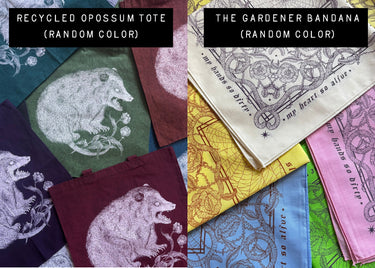 THE 2025 MYSTERY BOX