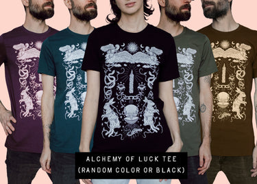 THE 2025 MYSTERY BOX