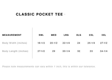 Homebody Pigeon Heavyweight Tee