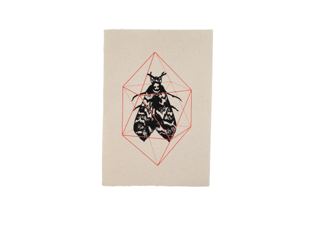 Geodesic Moth Patch