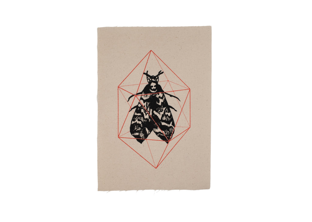 Geodesic Moth Patch