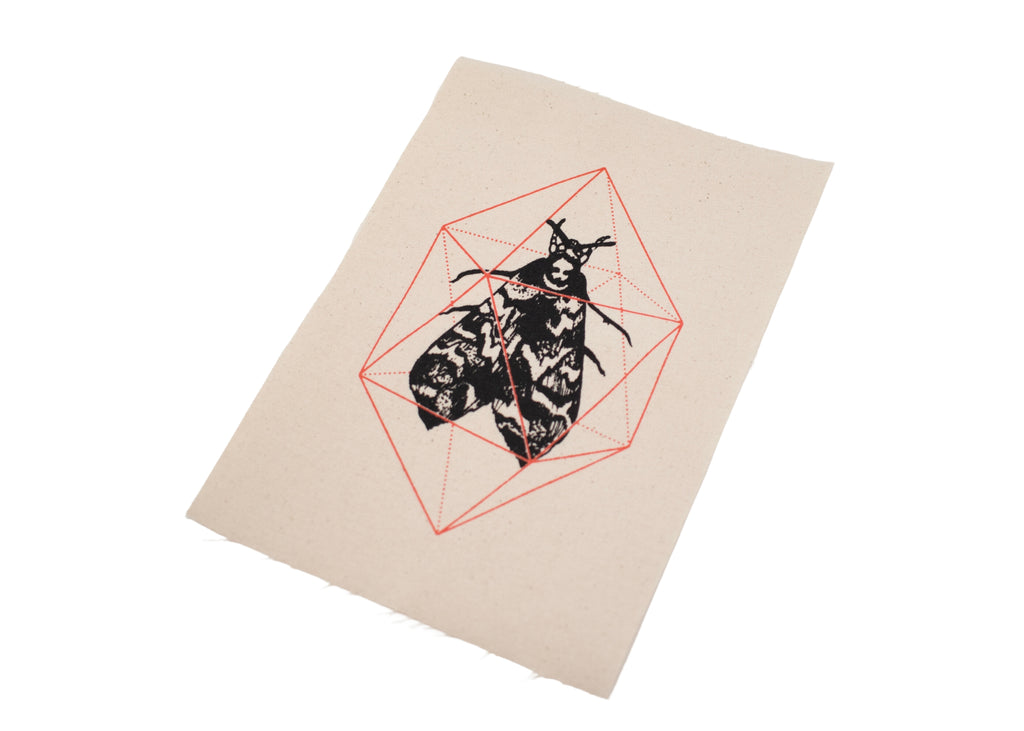 Geodesic Moth Patch