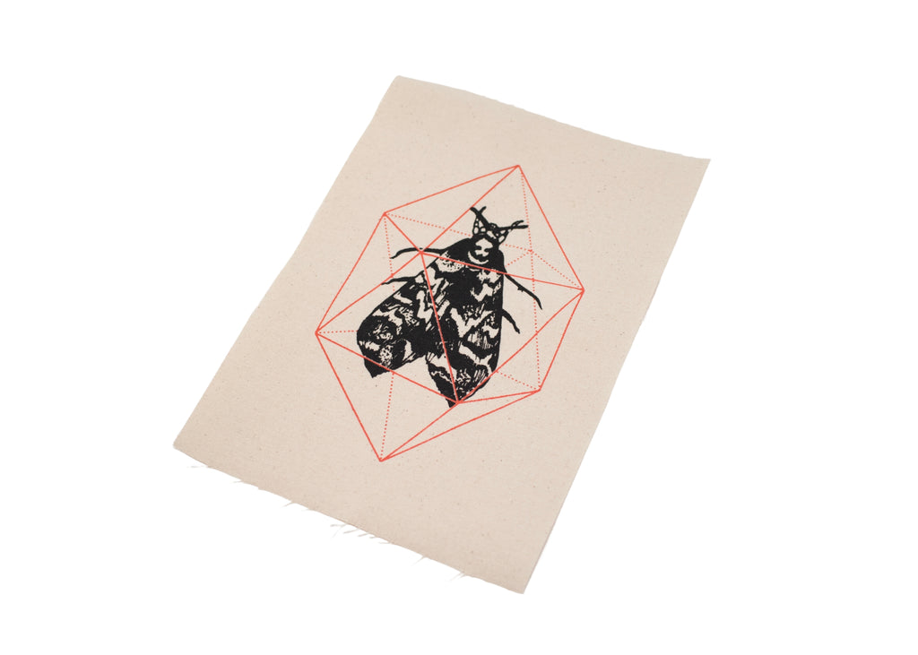 Geodesic Moth Patch