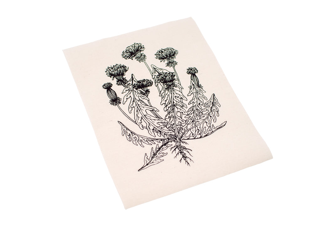 Dandelion Flower Patch