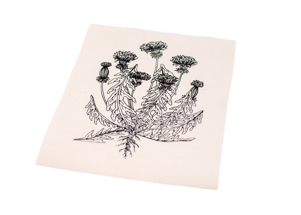 Dandelion Flower Patch