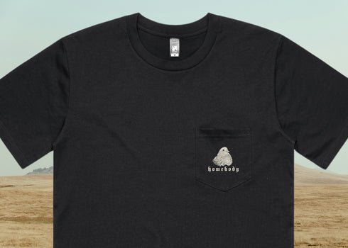 Black t-shirt with a small illustration of a pigeon with the word homebody in cream ink on the chest pocket against a light blue background