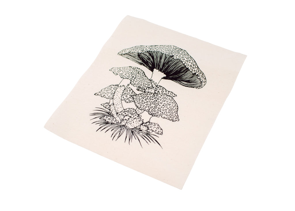Toadstool Mushroom Patch