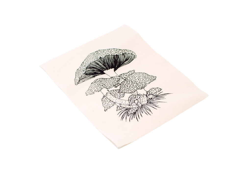 Toadstool Mushroom Patch