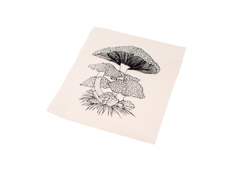 Toadstool Mushroom Patch