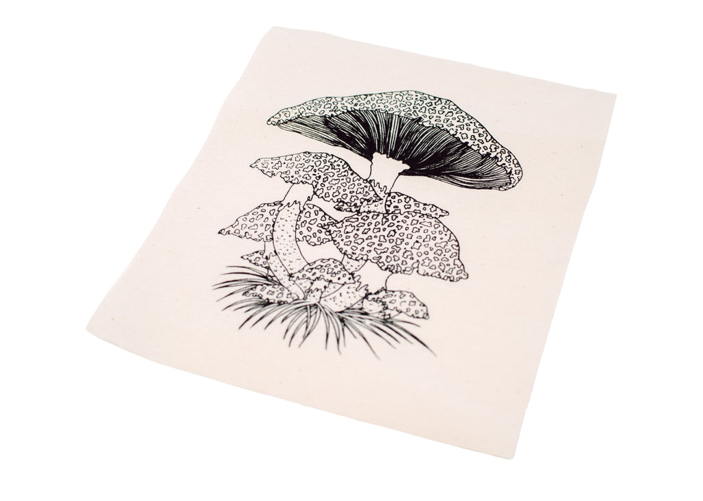 Toadstool Mushroom Patch