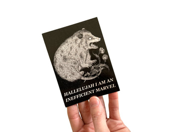 Marvelous Possum Sticker