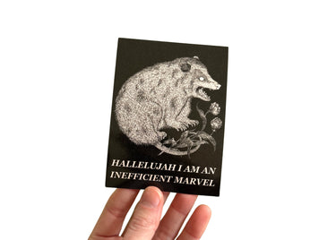 Marvelous Possum Sticker