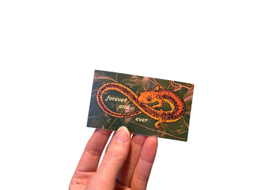 Salamander Ouroboros Sticker