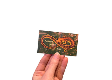 Salamander Ouroboros Sticker