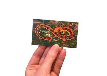 Salamander Ouroboros Sticker