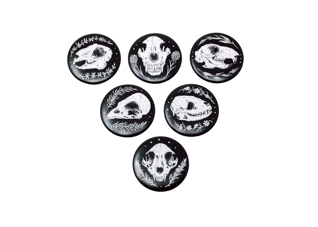 Skull Magnet 6 Pack