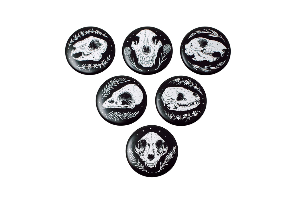 Skull Magnet 6 Pack