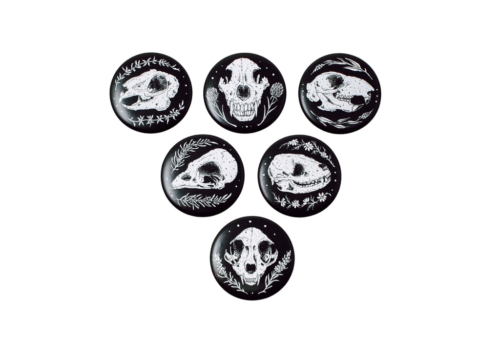 Skull Magnet 6 Pack