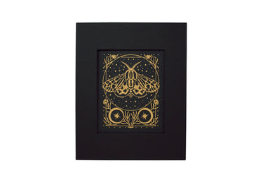 Moth Curiosity Print