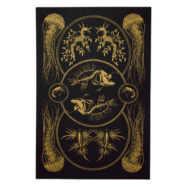 Sea Creatures Curiosity Poster