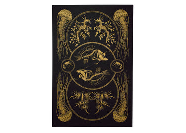 Sea Creatures Curiosity Poster