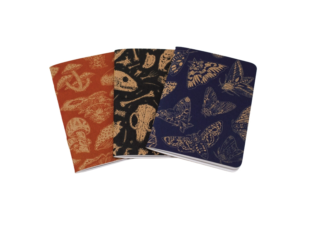 Pocket Notebook Natural Kraft Variety Pack