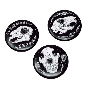 Skull Magnet 3 Pack
