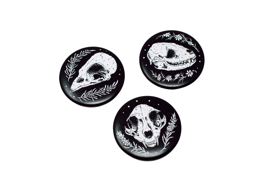 Skull Magnet 3 Pack