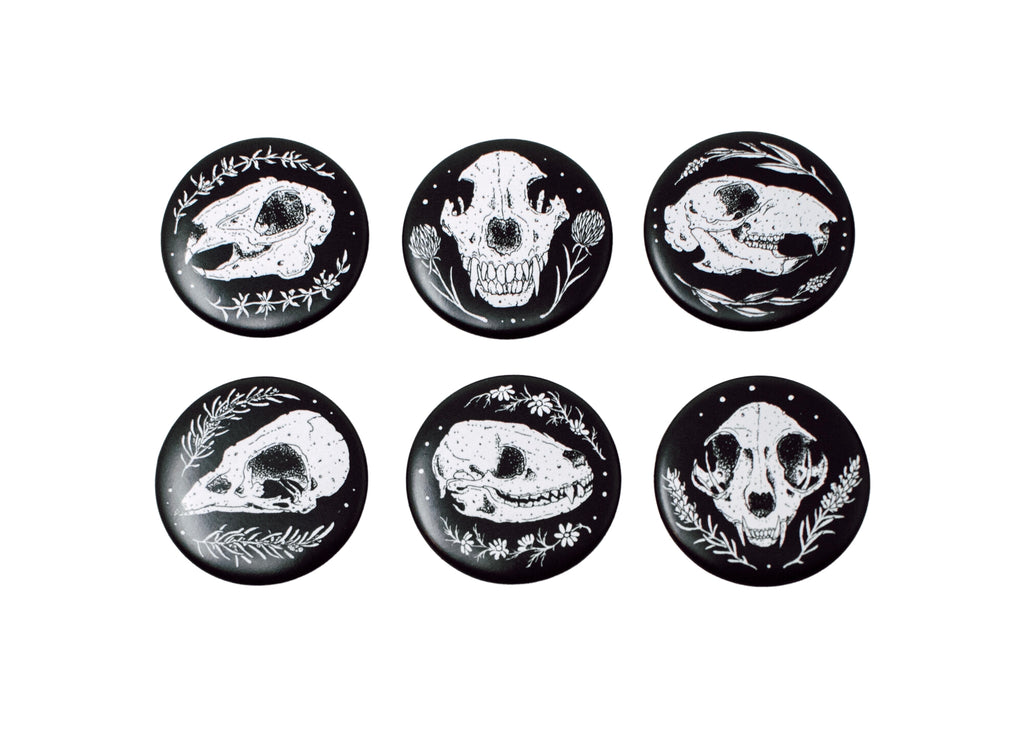 Skull Button 6 Pack