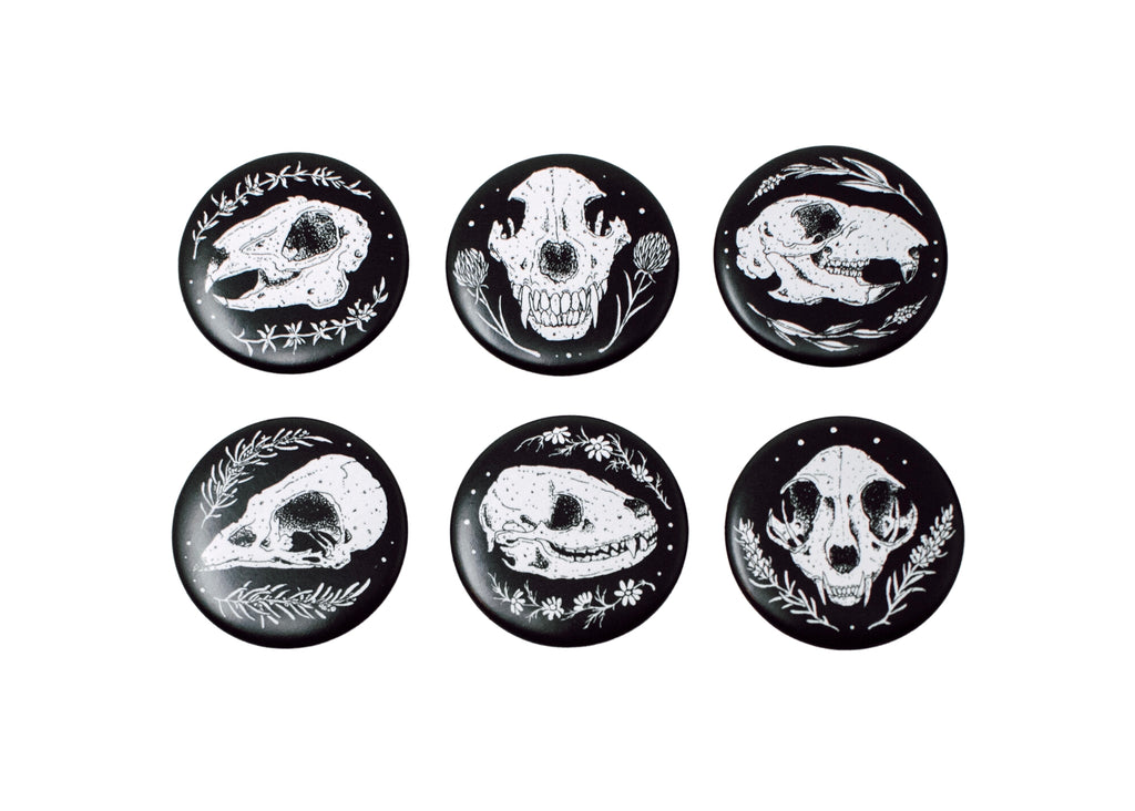 Skull Magnet 6 Pack